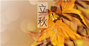 【立秋】來臨,卅亞和您共同迎接秋天的到來